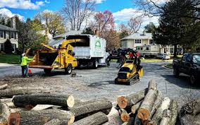 Best Tree Health Inspection  in The Village Of Indian Hill, OH